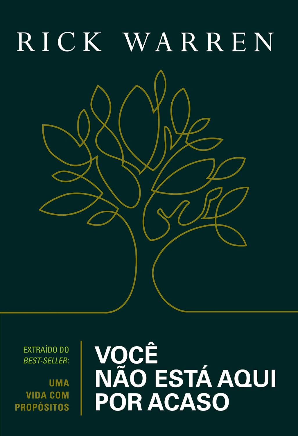 Você não está aqui por acaso
