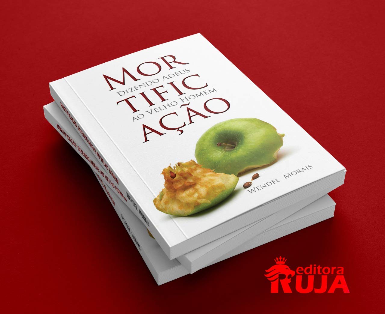 Mortificação: Dizendo ADeus ao Velho Homem baixar o livro de graça