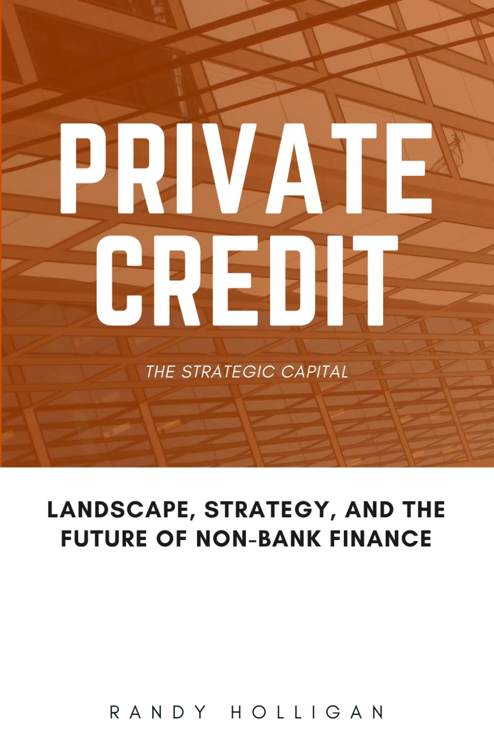 ler totalmente Private Credit: Landscape, Strategy, and the Future of Non-Bank Finance (Finance by Randy Holligan)