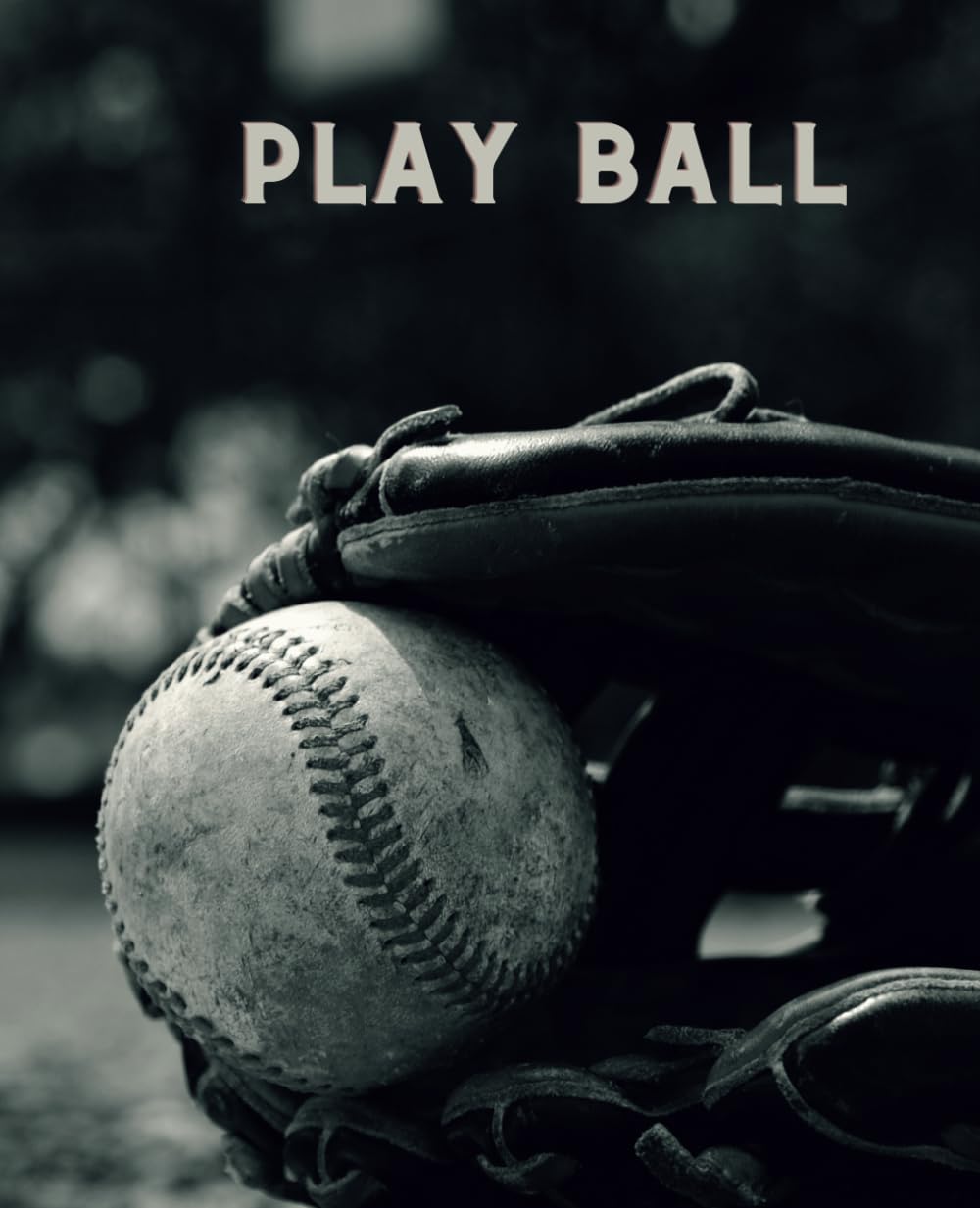 ler totalmente Ultimate Baseball Notebook – the perfect companion for players and coaches