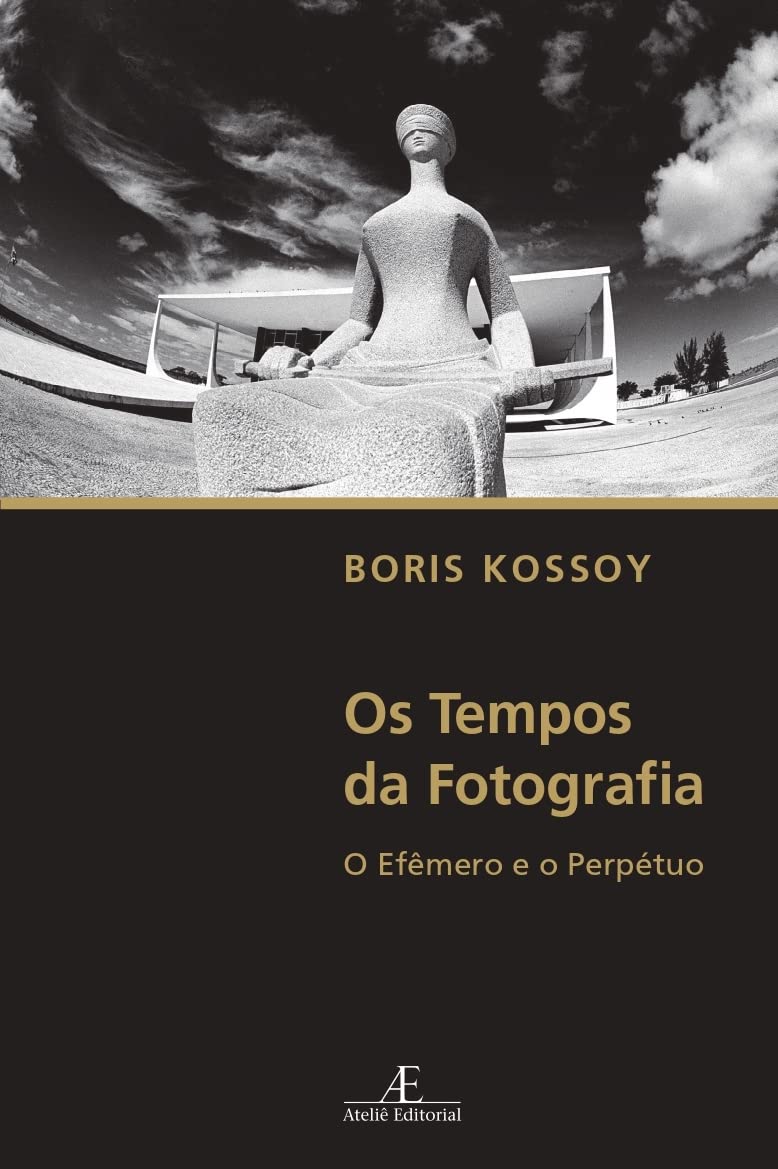 Os Tempos da Fotografia: O Efêmero e o Perpétuo baixar o livro de graça