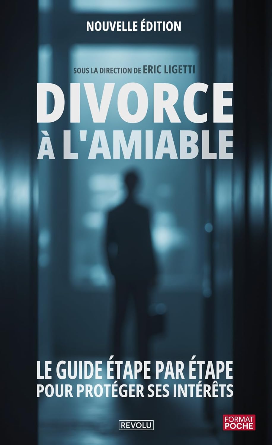Divorce à l'amiable: Le guide étape par étape pour protéger ses intérêts sans avocat (French Edition) baixar o livro de graça