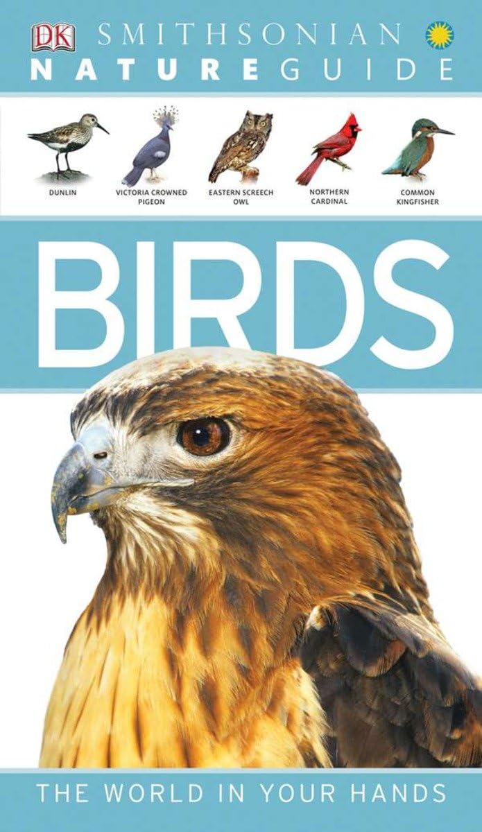 Nature Guide: Birds: The World in Your Hands baixar o livro de graça