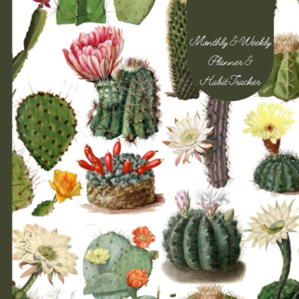 Monthly/Weekly Planner & Habit Tracker (Undated): Botanical Cactus Drawings Desert Boho Style, 199 pages, 14-months, 6" x 6" baixar livro de graça