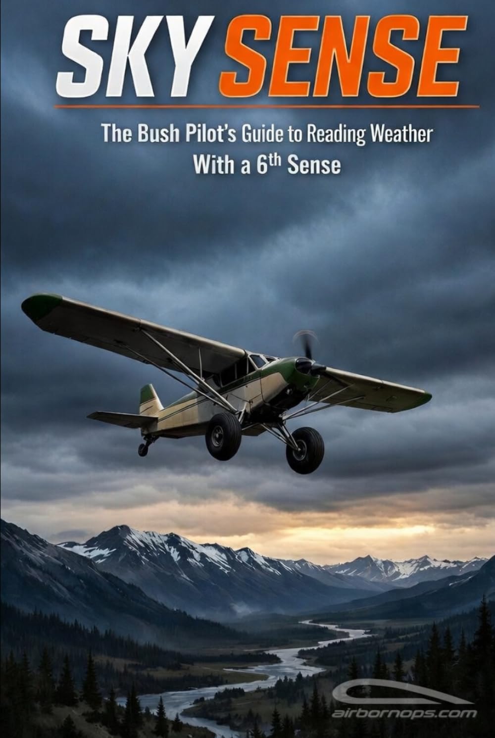 Sky Sense: The Bush Pilot's Guide to Reading Weather With a 6th sense baixar o livro de graça