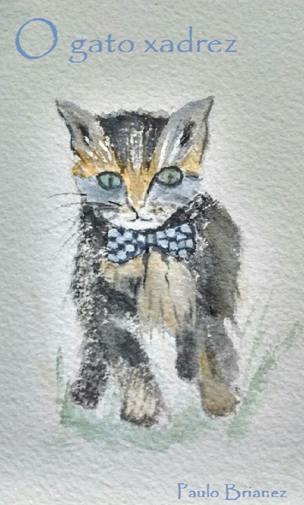 O gato xadrez e o aniversário