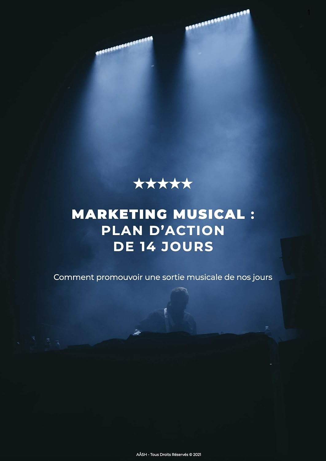 MARKETING MUSICAL: Comment promouvoir une sortie musicale de nos jours (French Edition) baixar o livro de graça
