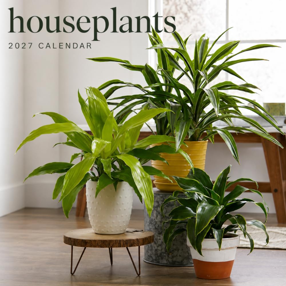ler totalmente Houseplants Calendar 2027: Indoor Botanical Photography