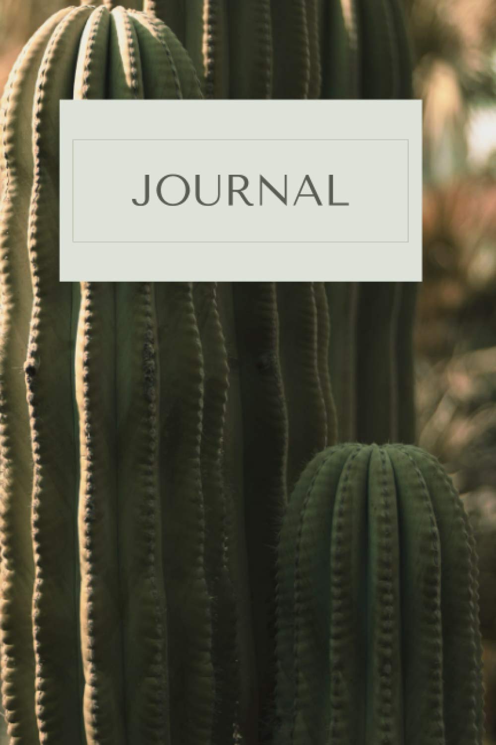 Journal: Cute Cactus Notebook with 120 blank lined pages - Gift for Plant and Cactus Lovers baixar o livro de graça