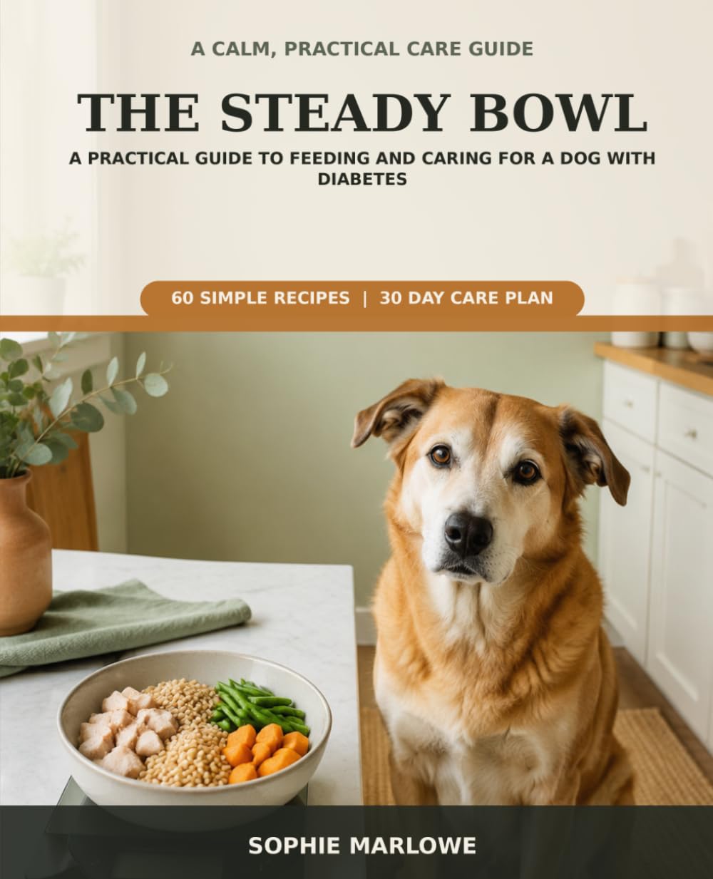 capítulo por capítulo baixar The Steady Bowl: A Practical Guide to Feeding and Caring for a Dog with Diabetes