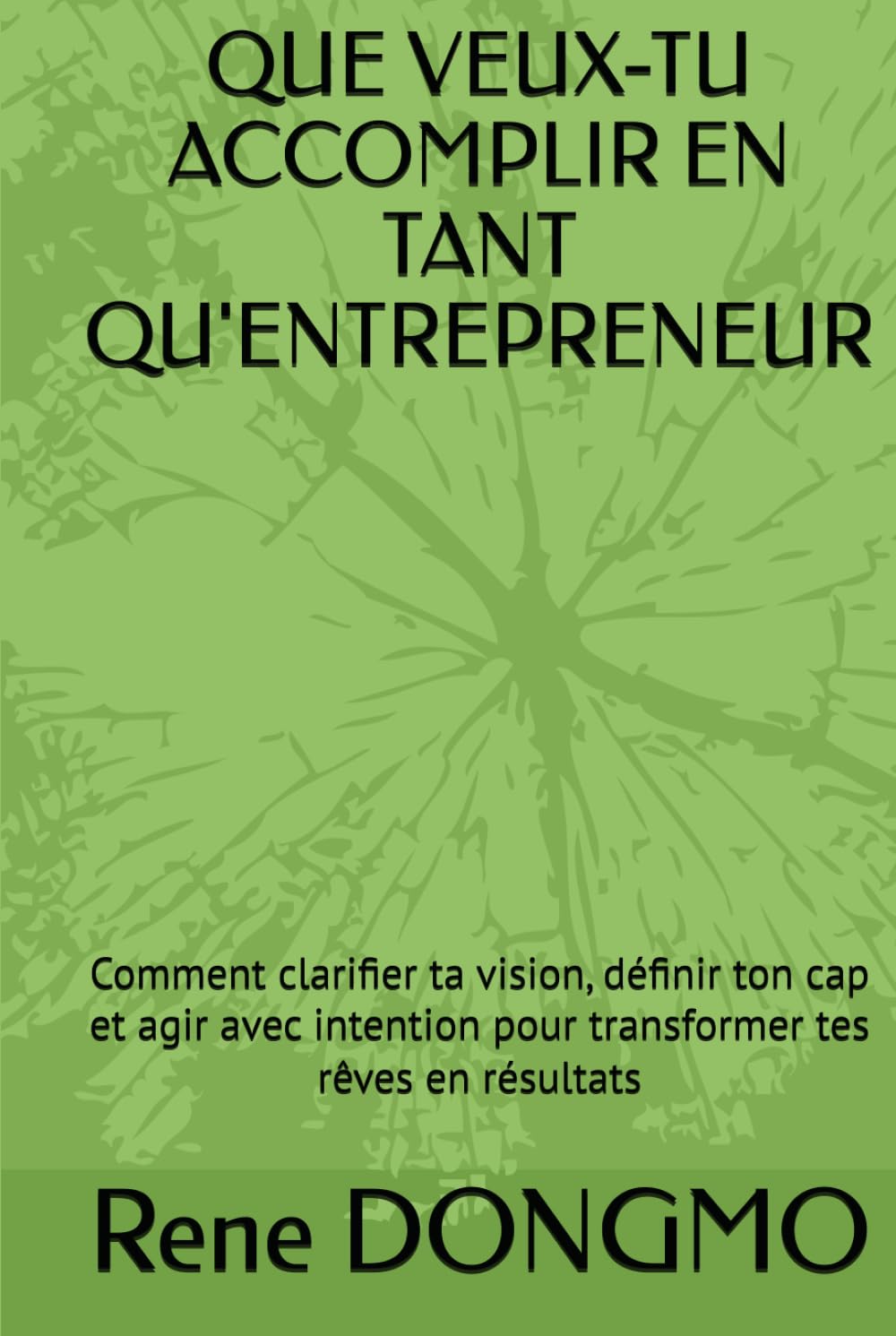 ler totalmente QUE VEUX-TU ACCOMPLIR EN TANT QU'ENTREPRENEUR: Comment clarifier ta vision, définir ton cap et agir avec intention pour transformer tes rêves en résultats (French Edition)