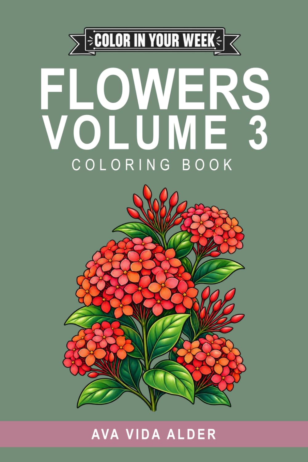 ler totalmente COLOR IN YOUR WEEK - FLOWERS VOLUME 3