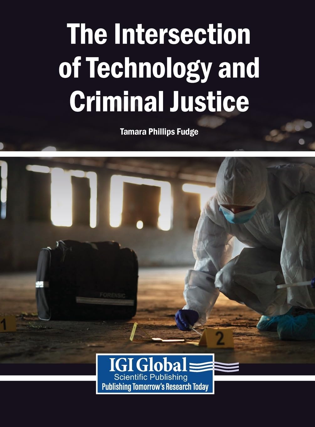The Intersection of Technology and Criminal Justice baixar livro de graça