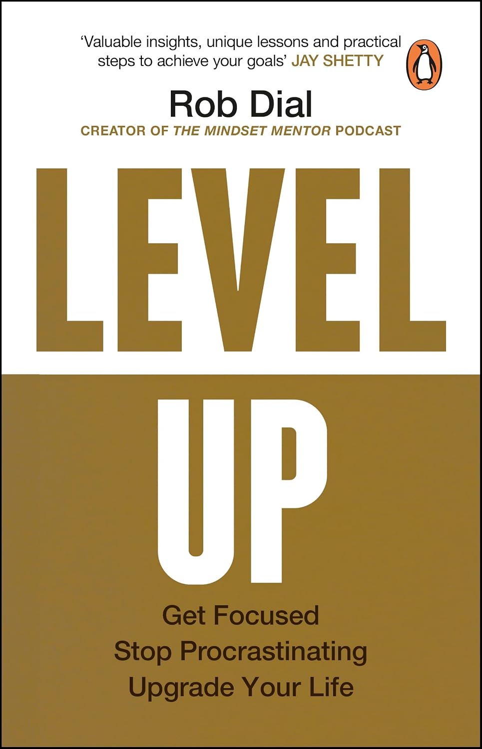 Level Up: Get Focused, Stop Procrastinating and Upgrade Your Life (English Edition) baixar o livro de graça