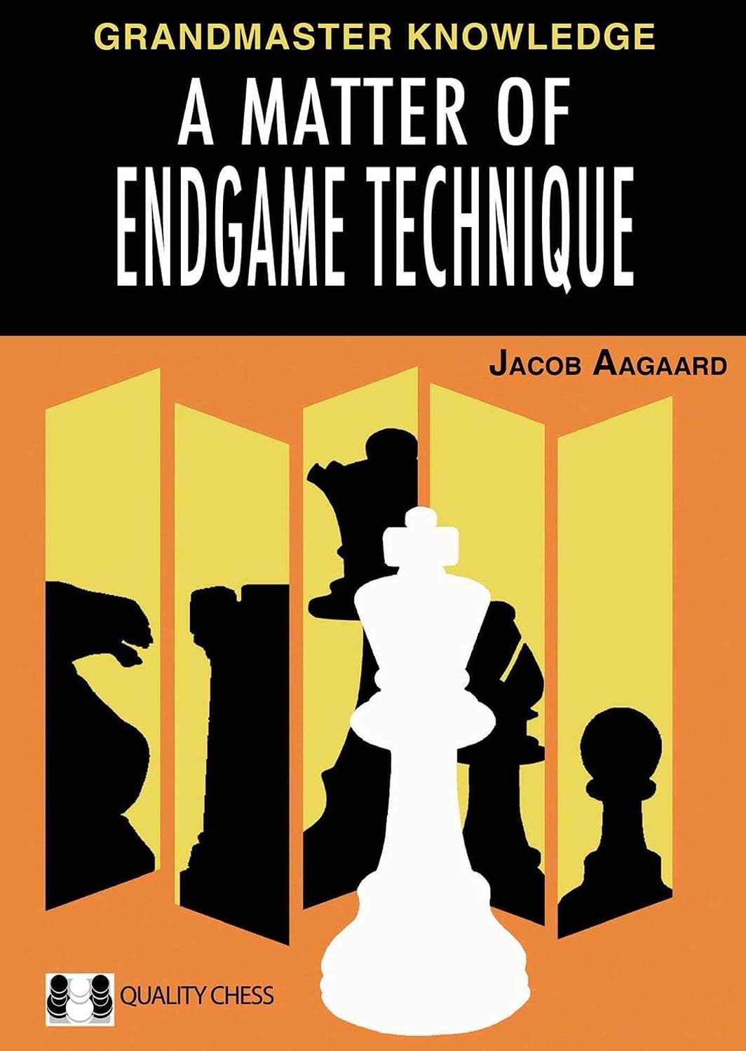 Matter of Endgame Technique baixar livro de graça