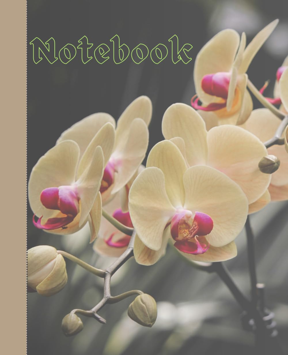 Composition Notebook: Wide ruled Orchid Flowers baixar livro de graça