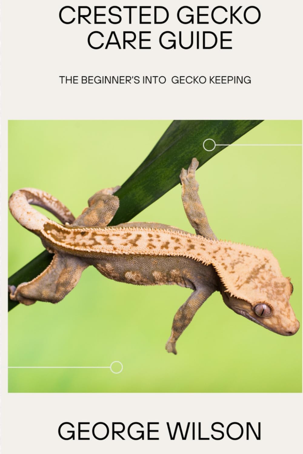 ler totalmente CRESTED GECKO CARE GUIDE: The Beginner’s Journey into Gecko Keeping