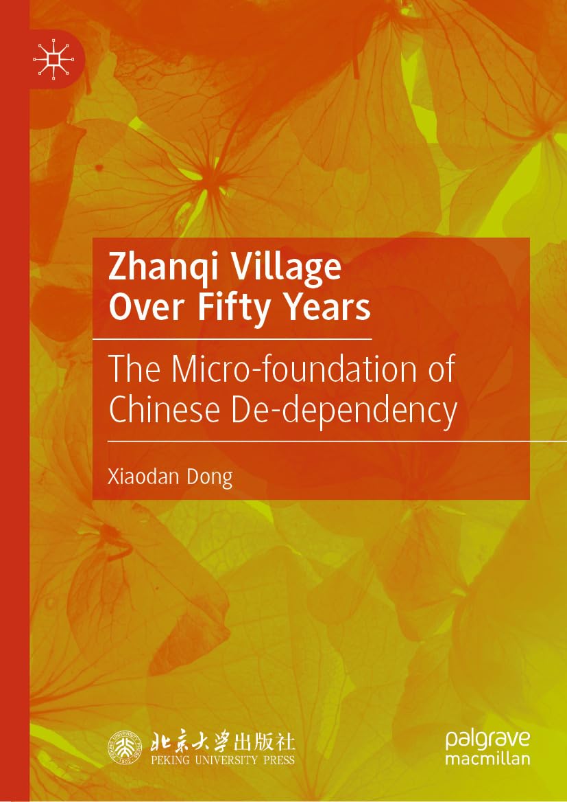 Zhanqi Village Over Fifty Years: The Micro-foundation of Chinese De-dependency (English Edition) baixar livro de graça