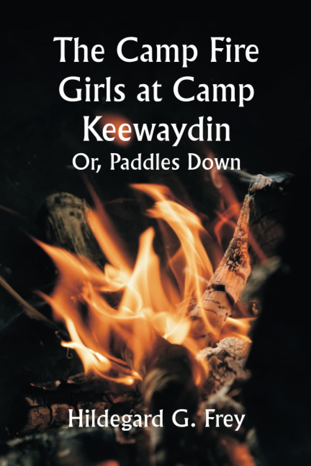 ler totalmente The Camp Fire Girls at Camp Keewaydin; Or, Paddles Down
