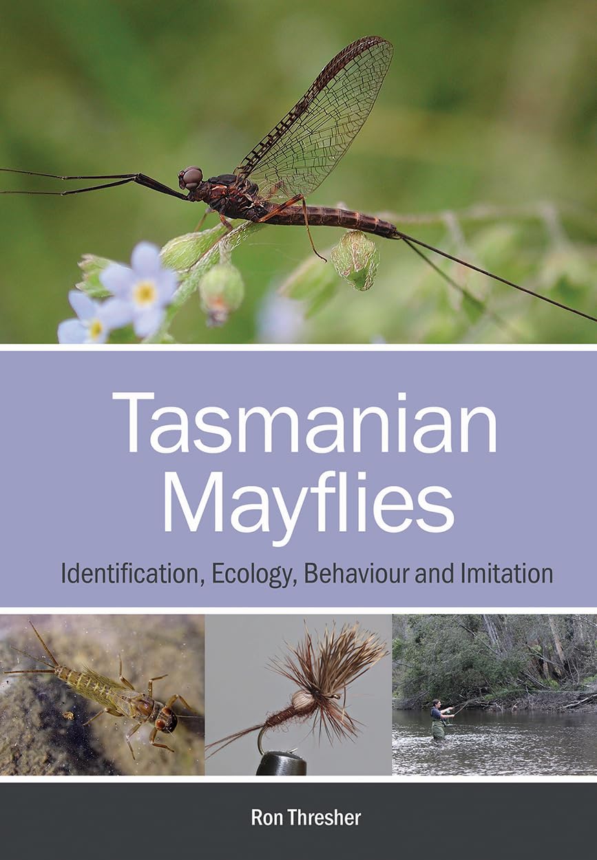 Tasmanian Mayflies: Identification, Ecology, Behaviour and Imitation (English Edition) baixar o livro de graça