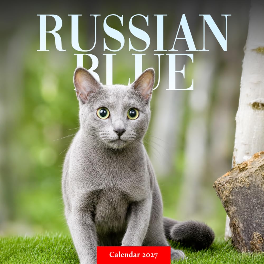 capítulo por capítulo baixar Russian Blue Cats Calendar 2027: Elegant Cat Photography