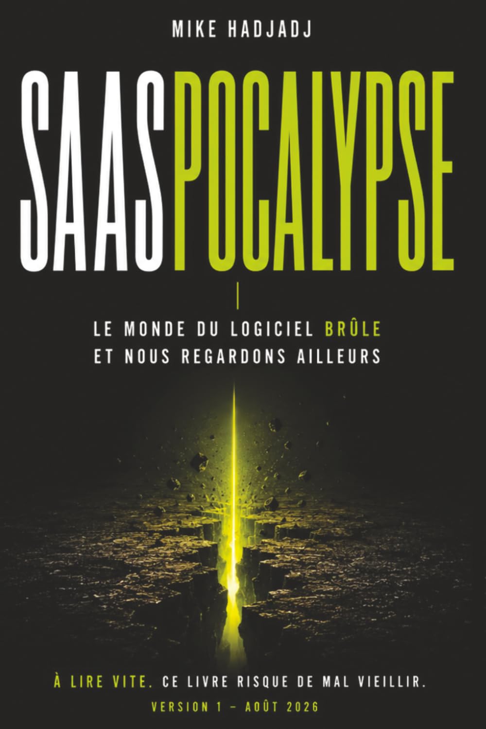 SaaSpocalypse: Le monde du logiciel brûle et nous regardons ailleurs (French Edition) baixar o livro de graça