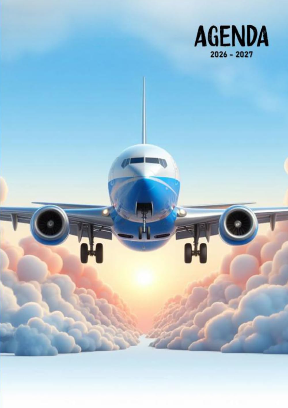 Agenda 2026-2027: Avion | Organisateur et Planificateur Journalier | 1 Jour Par Page avec Horaire (French Edition) baixar o livro de graça