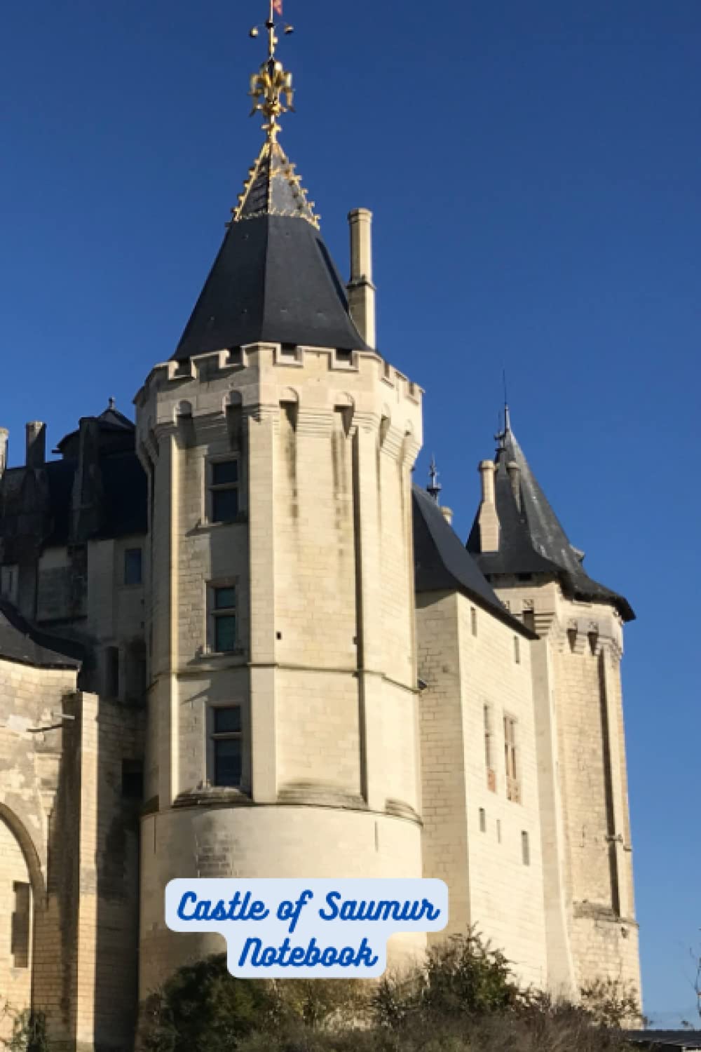 capítulo por capítulo baixar Castle of Saumur Notebook