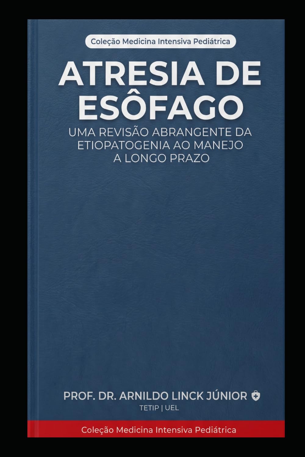 ler totalmente Atresia de Esôfago: Uma Revisão Abrangente da Etiopatogenia ao Manejo a Longo Prazo (E-BOOKS MEDICINA INTENSIVA PEDIÁTRICA) (Portuguese Edition)