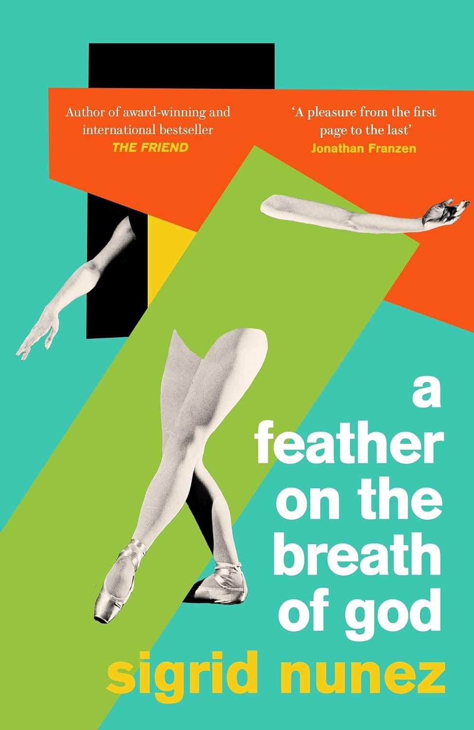 capítulo por capítulo baixar A Feather on the Breath of God: from the National Book Award-winning and bestselling author of THE FRIEND, with an introduction by Susan Choi (English Edition)