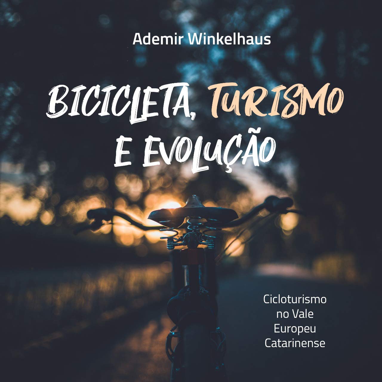 Bicicleta, Turismo e Evolução: Cicloturismo no Vale Europeu Catarinense baixar livro de graça