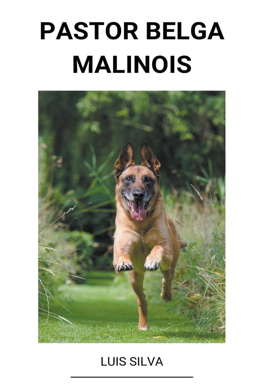 ler totalmente Pastor Belga Malinois