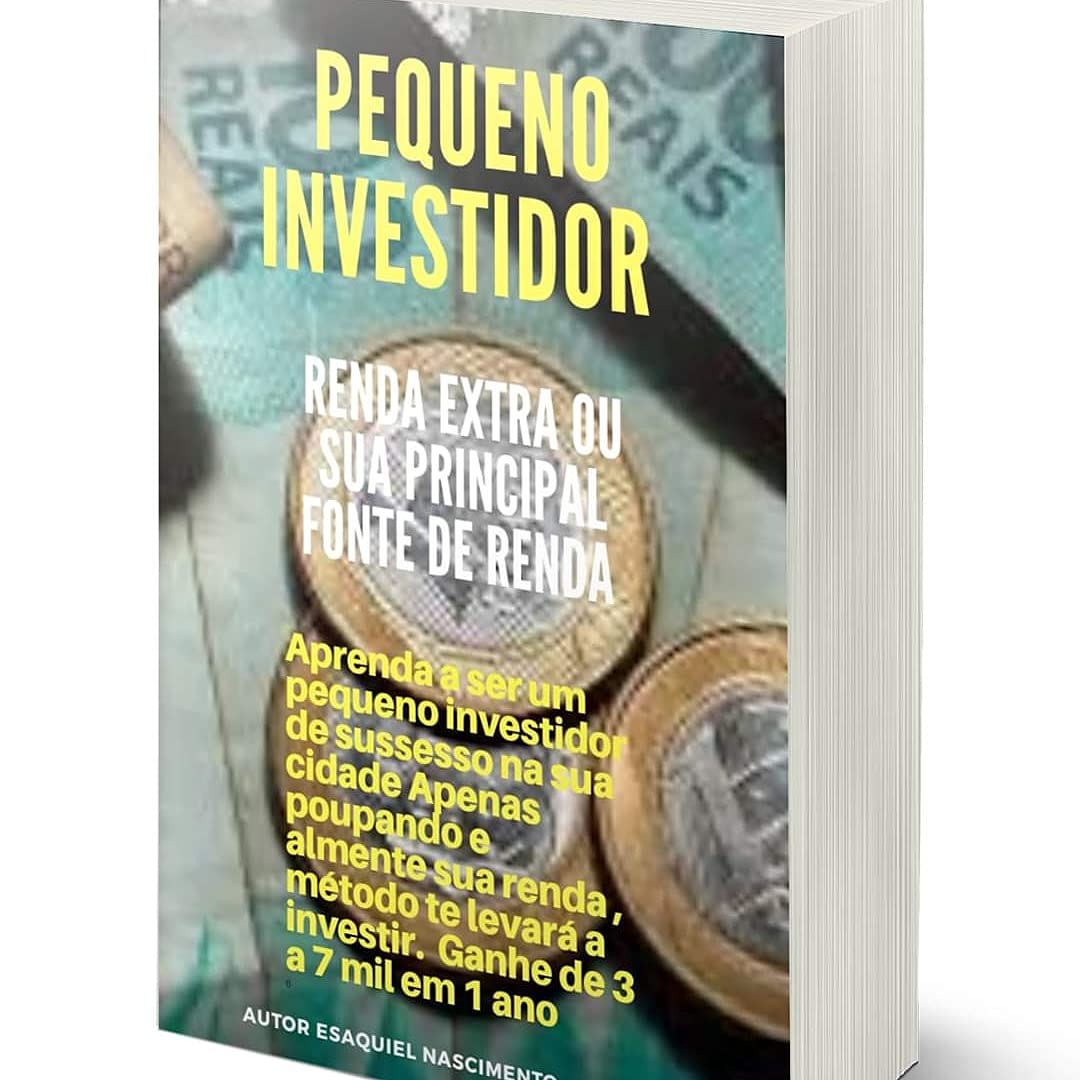 Pequeno Investidor: Renda Extra ou sua principal fonte de renda (Estudo Livro 2) baixar livro de graça