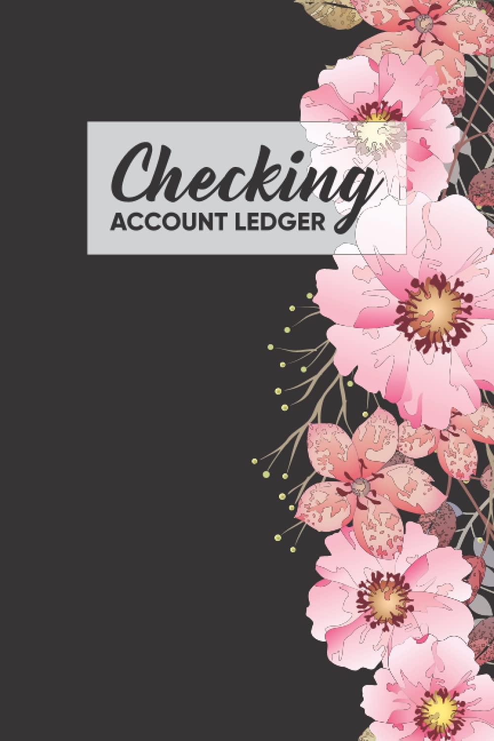 Checking Account Ledger: Checking Register baixar o livro de graça