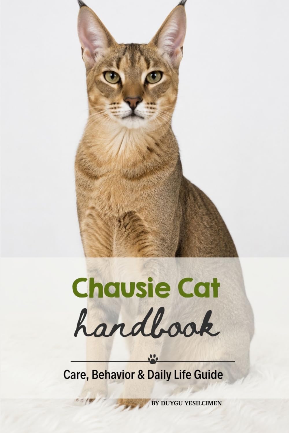 Chausie Cat: Care, Behavior & Daily Life Guide baixar o livro de graça