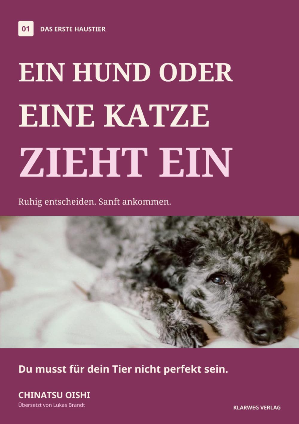 Ein Hund oder eine Katze zieht ein: Der einfühlsame Ratgeber vor der Anschaffung und für eine ruhige Eingewöhnung in den ersten Wochen (Das erste Haustier) (German Edition) baixar livro de graça