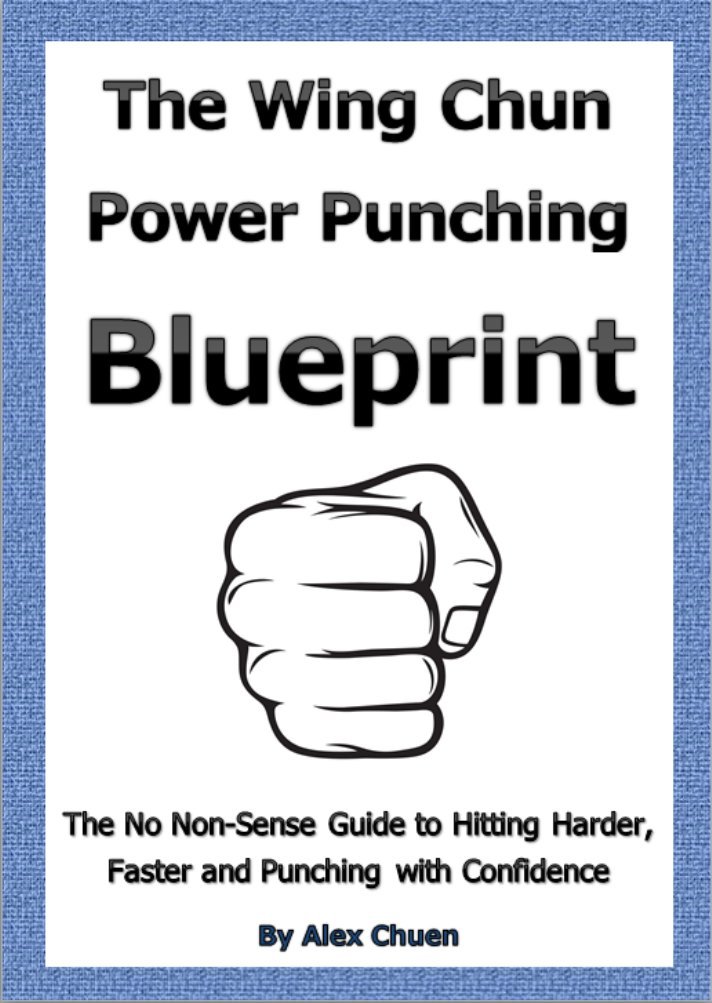 capítulo por capítulo baixar Wing Chun Power Punching Blueprint for Self Defence (Wing Chun Power Training Book 1) (English Edition)