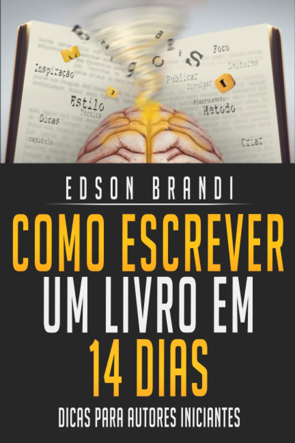 ler totalmente Como Escrever um Livro em 14 Dias: Dicas para autores iniciantes