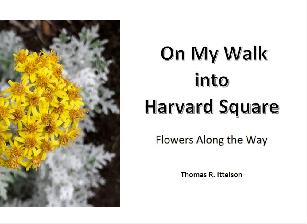 On My Walk into Harvard Square: Flowers along the Way (English Edition) baixar livro de graça