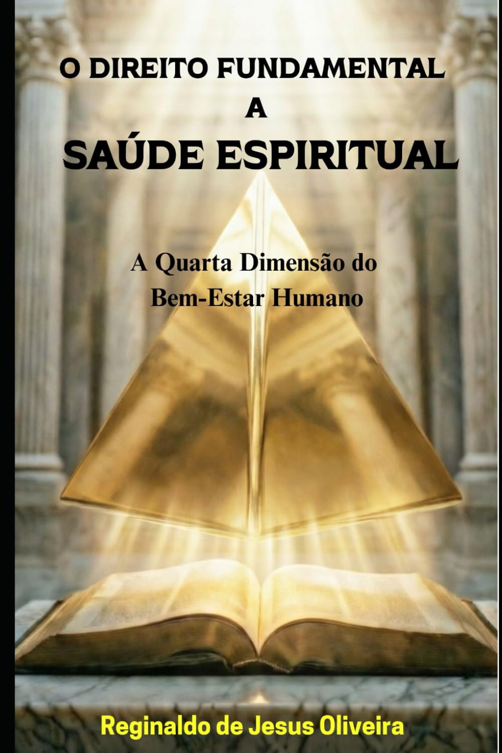 O DIREITO FUNDAMENTAL A SAÚDE ESPIRITUAL: A Quarta Dimensão do Bem-Estar Humano (Portuguese Edition) baixar o livro de graça