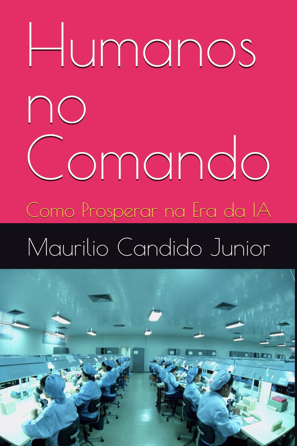 capítulo por capítulo baixar Humanos no Comando: Como Prosperar na Era da IA (Portuguese Edition)