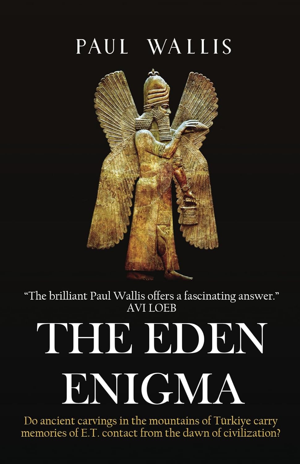capítulo por capítulo baixar THE EDEN ENIGMA: Do ancient carvings in the mountains of Türkiye carry memories of E.T. contact from the dawn of civilization?
