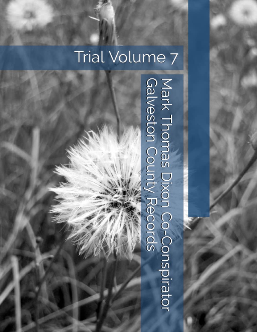 Mark Thomas Dixon Co-Conspirator Galveston County Records: Trial Volume 7 (Barbara Holder Trial Records) baixar livro de graça
