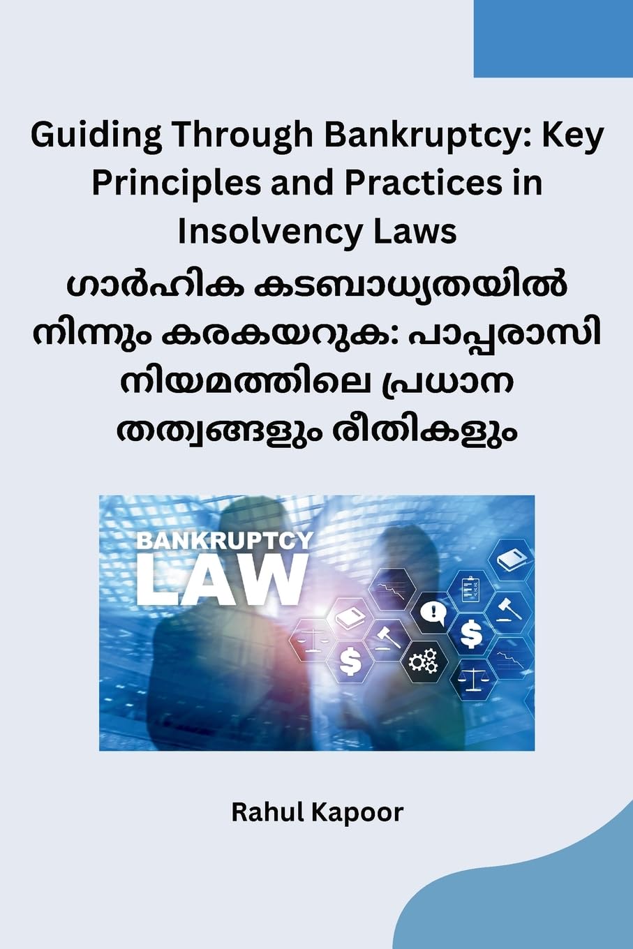Guiding Through Bankruptcy: Key Principles and Practices in Insolvency Laws baixar livro de graça