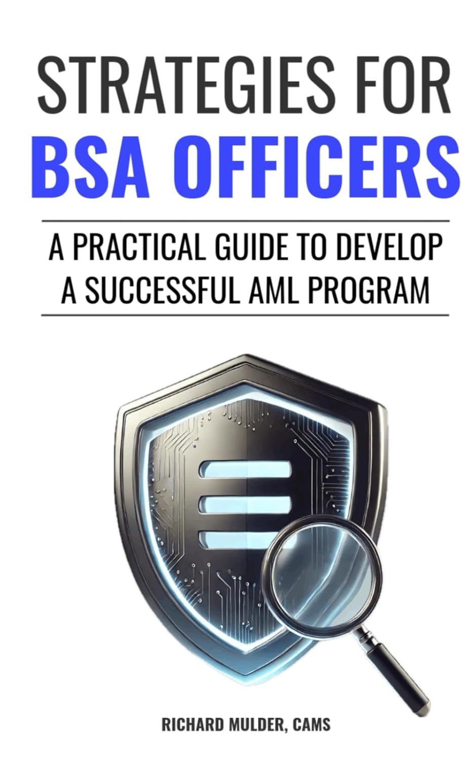 capítulo por capítulo baixar Strategies for BSA Officers: A Practical Guide to Develop a Successful AML Program