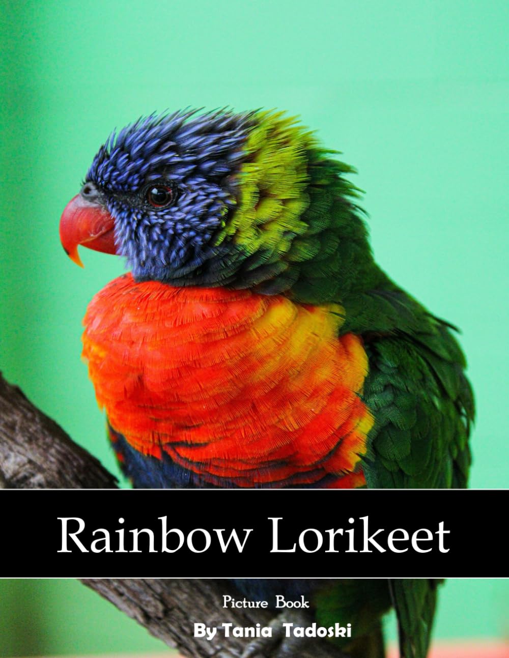 capítulo por capítulo baixar Rainbow Lorikeet: Rainbow Lorikeet: Vibrant Parrot, Nectar, Feathers, Australia, Wildlife and More