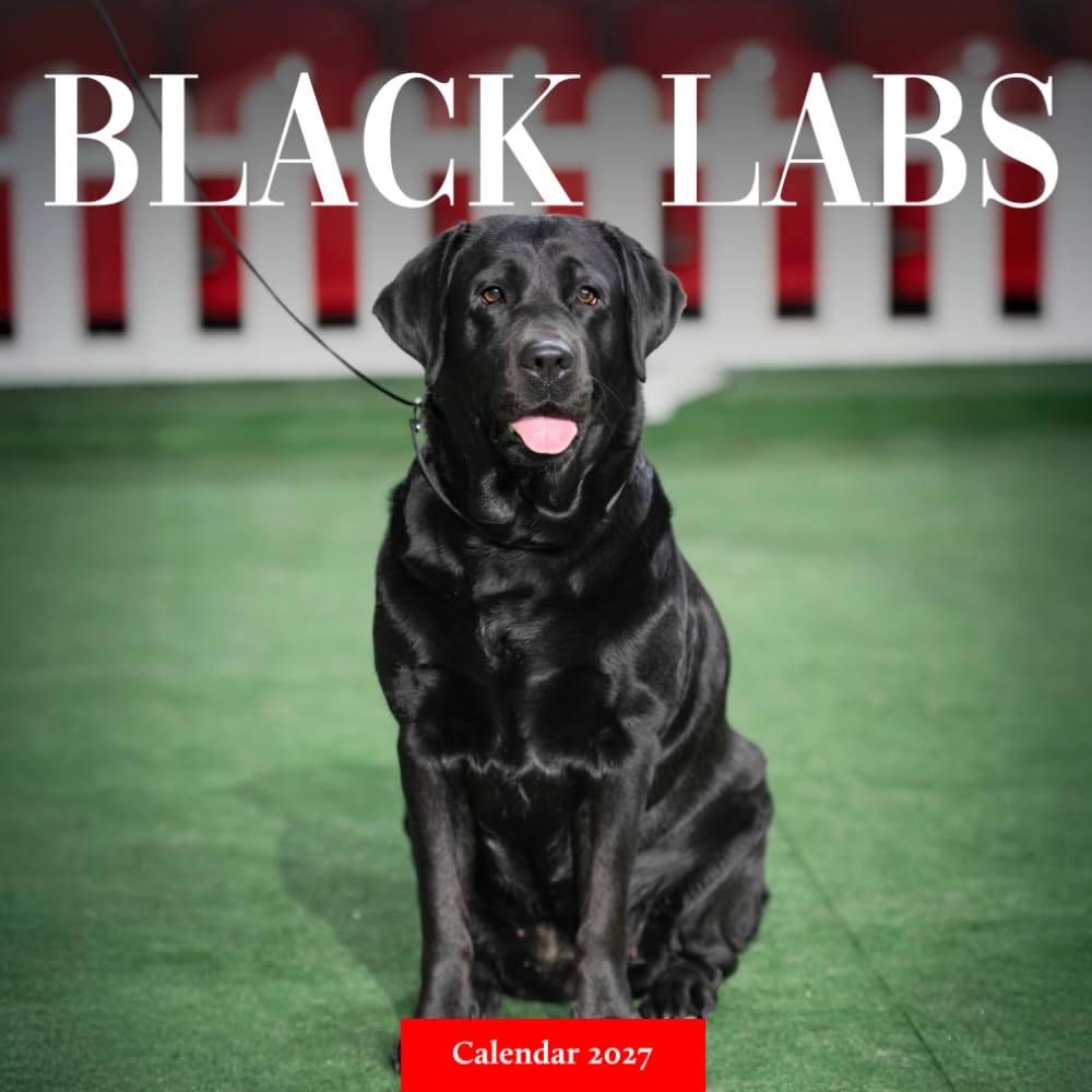 Black Labrador Retriever Calendar 2027: Black Lab Dog Photography