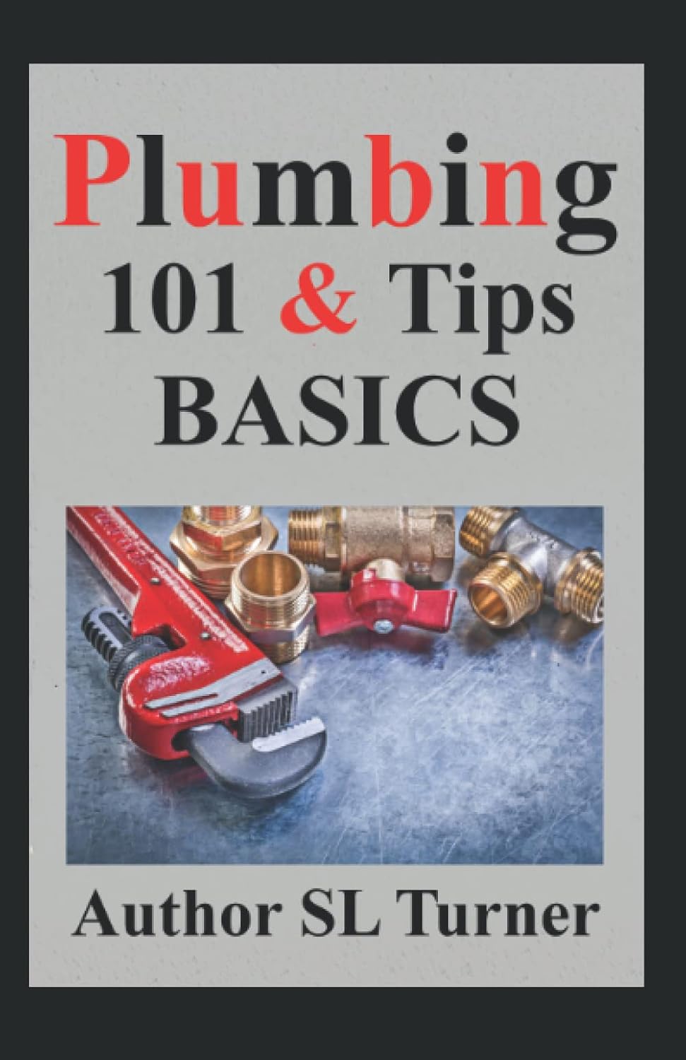 ler totalmente Plumbing 101 & Tips Basics