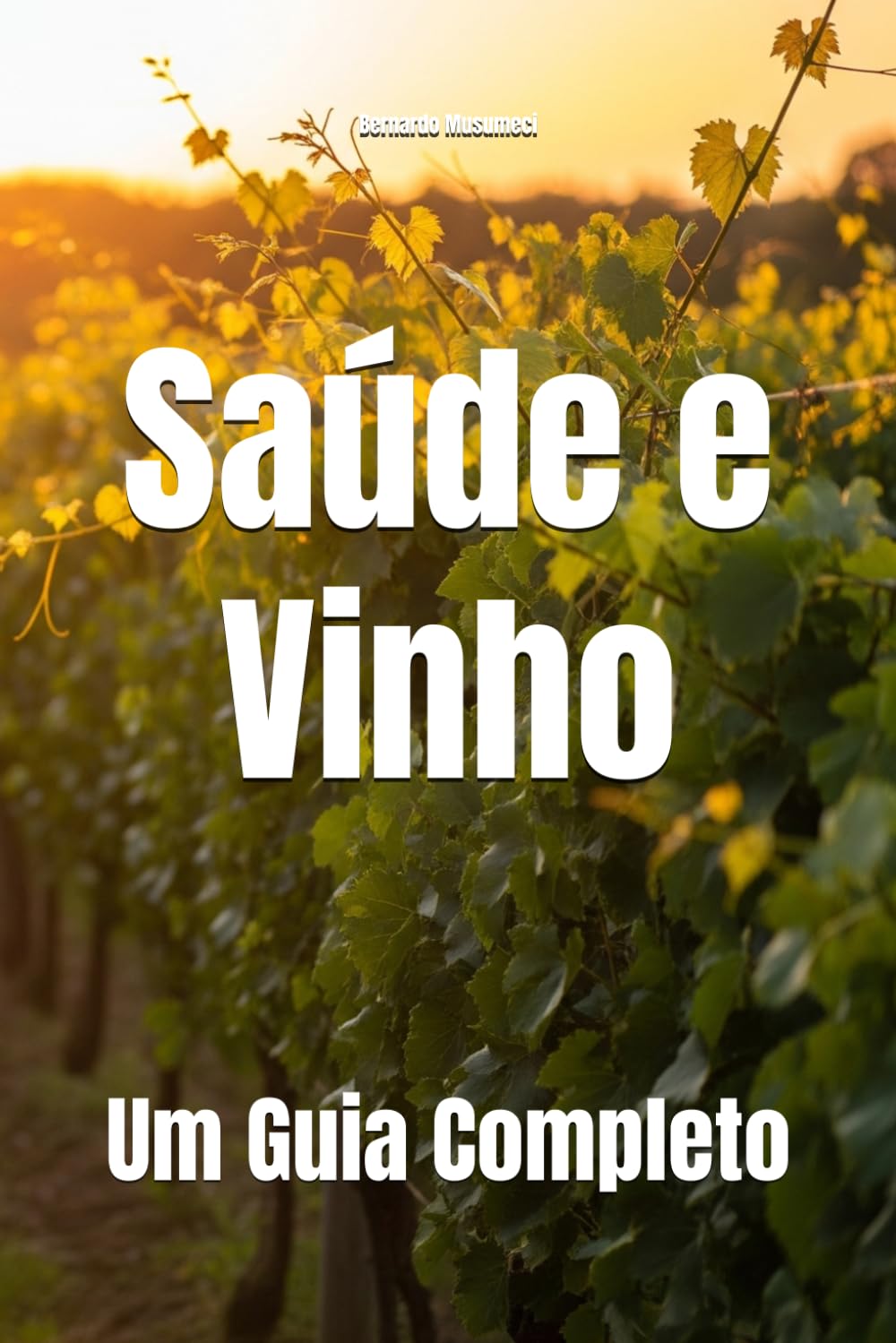 Saúde e Vinho: Um Guia Completo baixar livro de graça