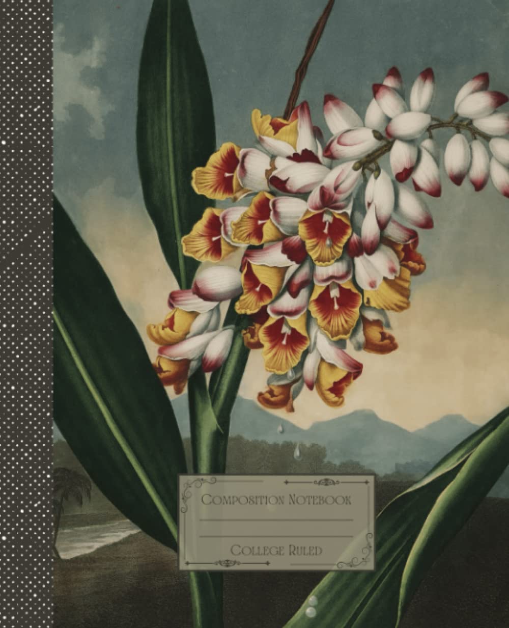 capítulo por capítulo baixar Vintage Flower Composition Notebook College Ruled: Antique Botanical Flower Illustration | Classic Composition Notebook for Writing and Journaling |... for College Students, School and Work.